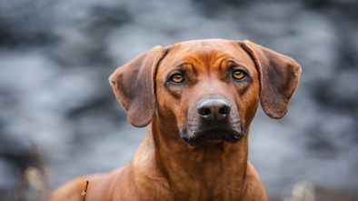 IMG_7825_1.jpg