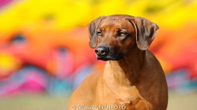 DSC_6942.jpg