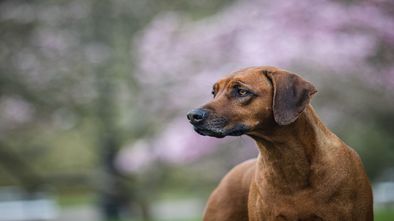 IMG_3878.jpg