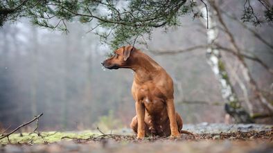 IMG_7971_1.jpg