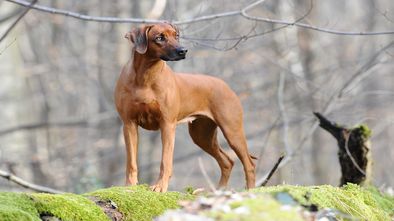 DSC_6758_1.jpg