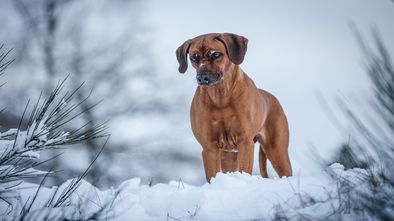 IMG_7379.jpg