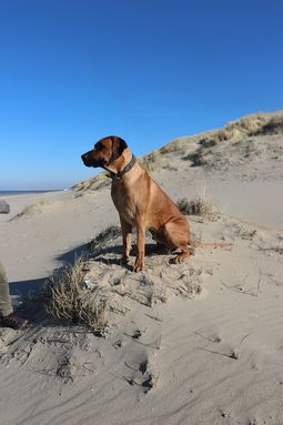 IMG_5308.JPG