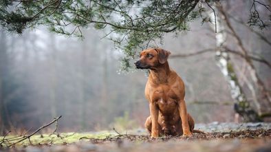 IMG_7967_1.jpg