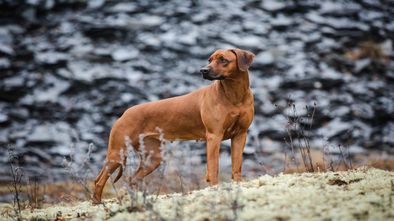 IMG_7794_1.jpg