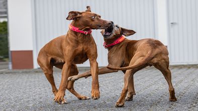 e2d02c51-7402-44f8-b875-7538a6d00edf.jpeg