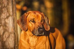 IMG_3895.JPG