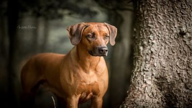 628A7270-Bearbeitet-web.jpg