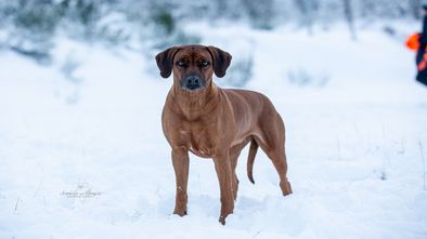 IMG_7586.jpg