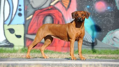 DSC_6257_1.jpg