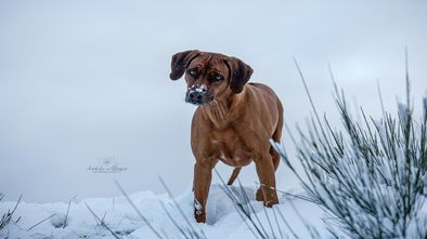 IMG_7596.jpg