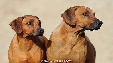 DSC_8856.jpg