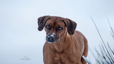 IMG_7603.jpg