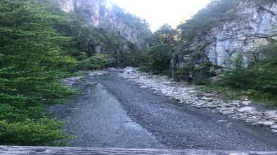 IMG_9928.jpg