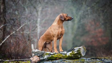 IMG_7999_1.jpg