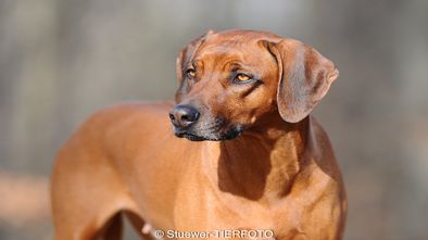DSC_6684.jpg