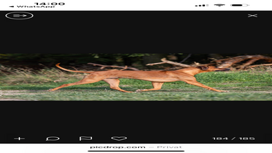 IMG_1808.png