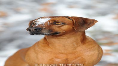 DSC_4837.jpg