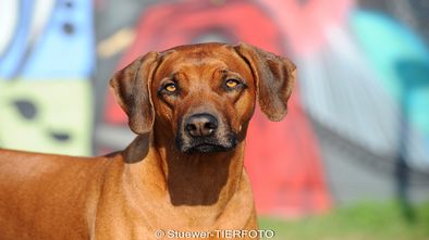 DSC_6232_3.jpg