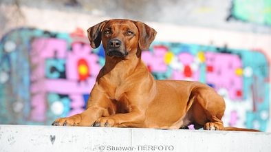 DSC_6340_1.jpg