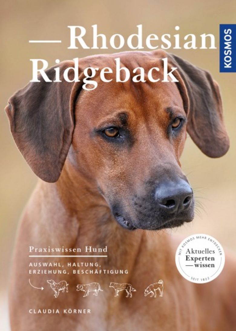 buch.jpg