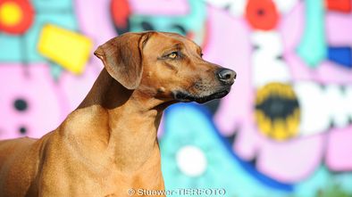 DSC_6269_1.jpg