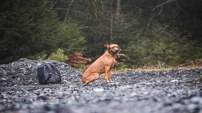 IMG_8055_1.jpg