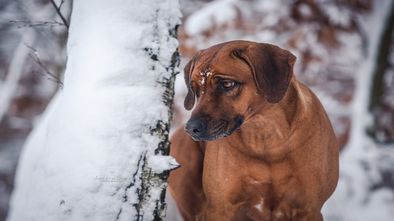 IMG_7156.jpg