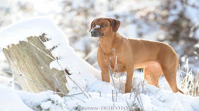 DSC_4863.jpg