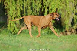 IMG_0003.JPG