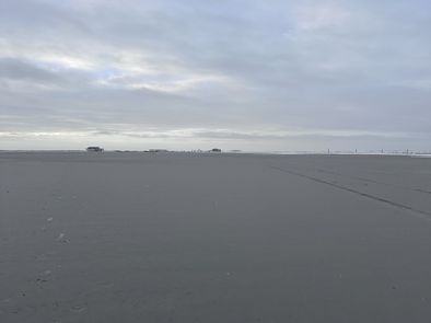 IMG_9250.jpeg