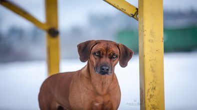 IMG_7663.jpg