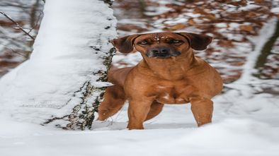 IMG_7148.jpg