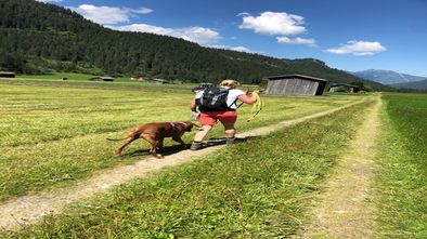 IMG_9862.jpg