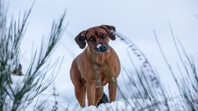 IMG_7613.jpg