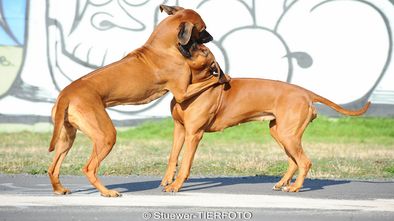 DSC_6240_1.jpg