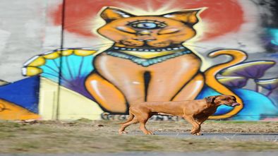 DSC_6829_1.jpg