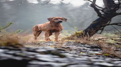 IMG_7910_1.jpg