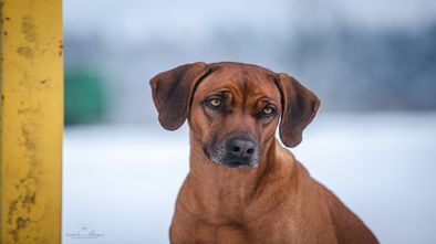IMG_7677.jpg