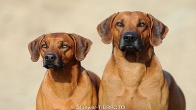 DSC_8865.jpg