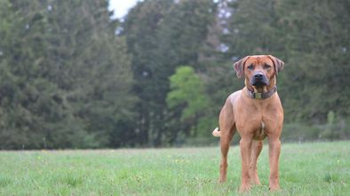 dsc_3586.jpg