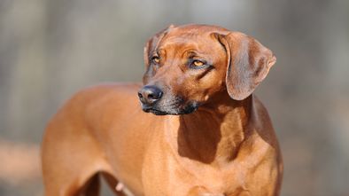DSC_6684_1.jpg