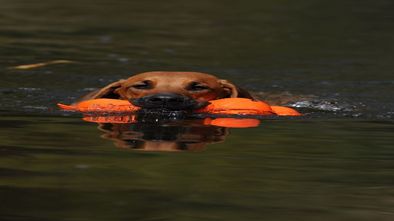 DSC_6475.JPG
