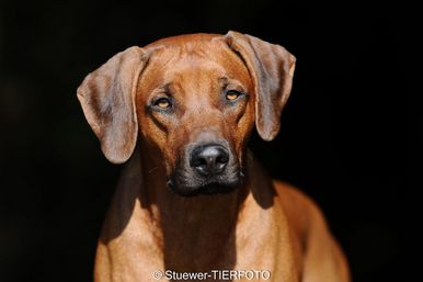 DSC_3571.jpg