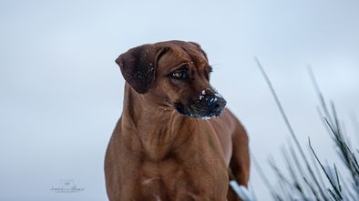 IMG_7601.jpg