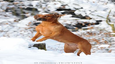 DSC_4812.jpg