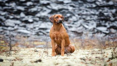 IMG_7811_1.jpg